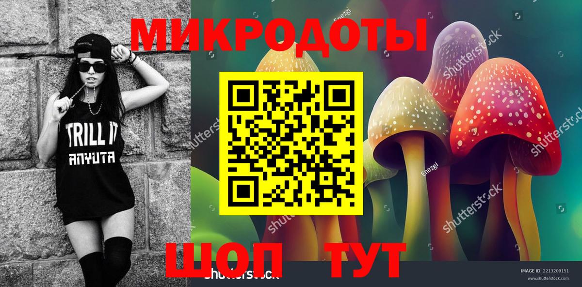 Псилоцибиновые грибы MAGIC MUSHROOMS  Вход с VPN  Камень-на-Оби 